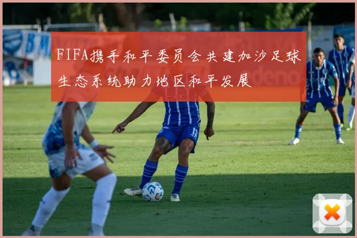 FIFA携手和平委员会共建加沙足球生态系统助力地区和平发展