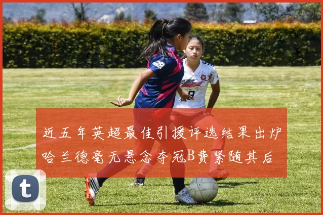 近五年英超最佳引援评选结果出炉哈兰德毫无悬念夺冠B费紧随其后