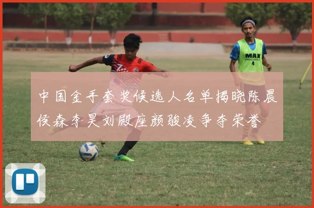 中国金手套奖候选人名单揭晓陈晨侯森李昊刘殿座颜骏凌争夺荣誉