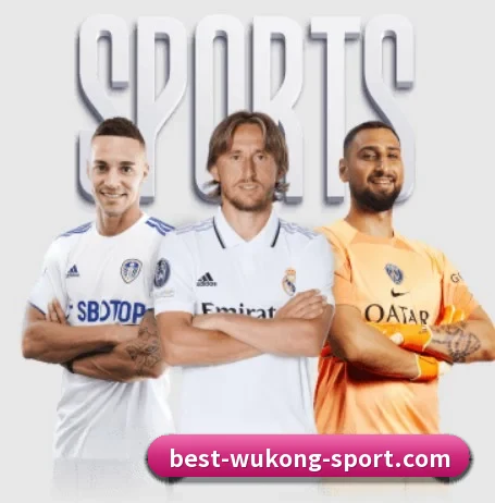 平台愿景 - 长期内容价值积累(WukongSports)